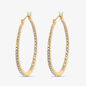 Glitter All Around Large Örhänge